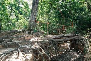 BIB: 
                            <button type="button" onclick="openModal(27800459)" class="btn btn-primary btn-sm float-right btn-popup" data-toggle="modal" data-target=".modal-high-quality">
                        <i class="fas fa-shopping-cart"></i> Add to Cart
                    </button>
                                            <button type="button" onclick="isThisMe(27800459, true)" class="btn btn-success btn-sm float-right btn-popup btn-isme hidden" data-toggle="tooltip" data-placement="bottom" title="นี่คือรูปของคุณใช่ไหม คลิกที่นี่เพื่อเอาเข้าอัลบั้ม">
                        <i class="fas fa-plus"></i> Add to album
                    </button>
                    <button type="button" onclick="isThisMe(27800459, false)" class="btn btn-warning btn-sm float-right btn-popup btn-isnotme hidden">
                        <i class="fas fa-ban"></i> Remove from album
                    </button>